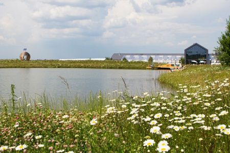 Внешний вид