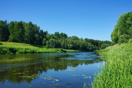 d2ab034d4bd018a91253c22d6d340169