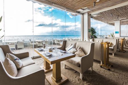 Внешний вид