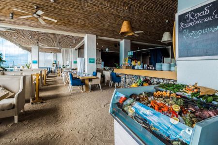 Внешний вид