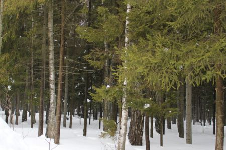 Номер 2-местный 1-комнатный