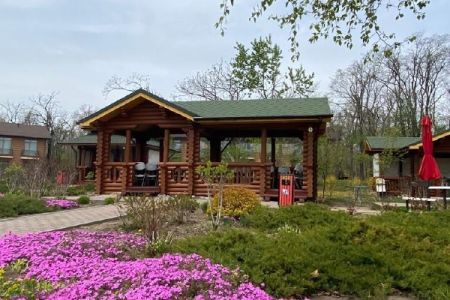 Внешний вид