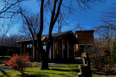 Внешний вид