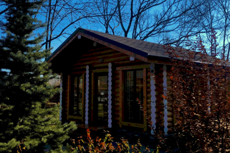 Внешний вид