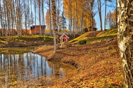 Внешний вид