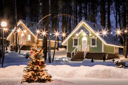 Внешний вид