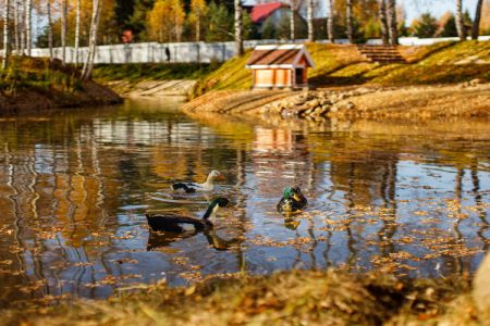 Внешний вид