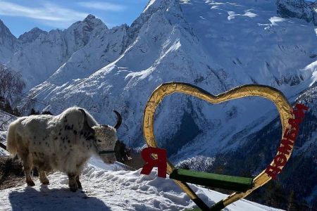 Внешний вид