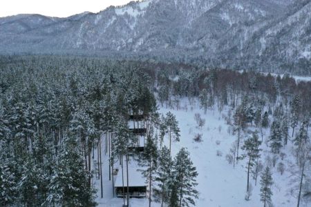 PINEWOOD внешний вид