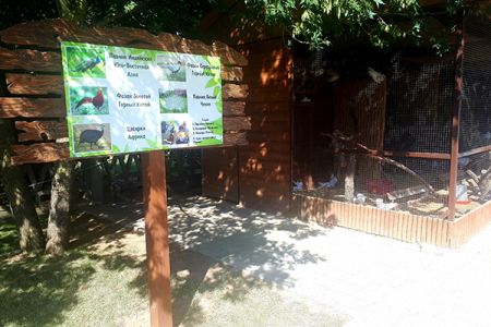 Птичий двор