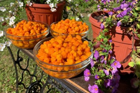 Организация свадеб