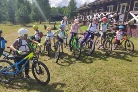 Организация свадеб