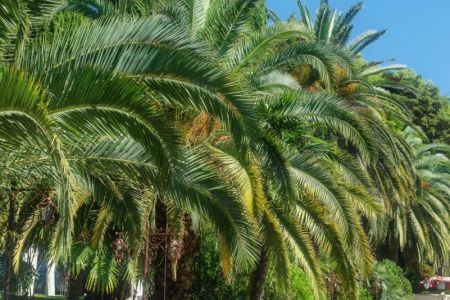 Вид на корпус дома отдыха