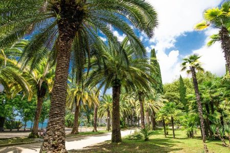 Внешний вид