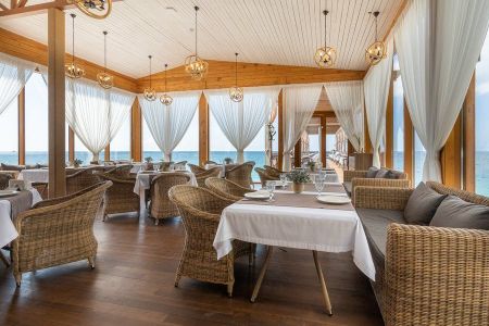 Внешний вид