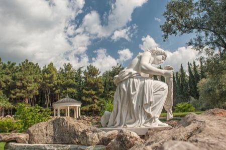 Внешний вид