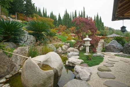 Внешний вид