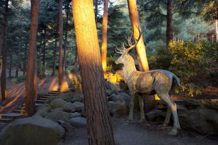 Внешний вид