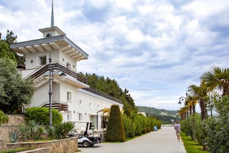 Внешний вид