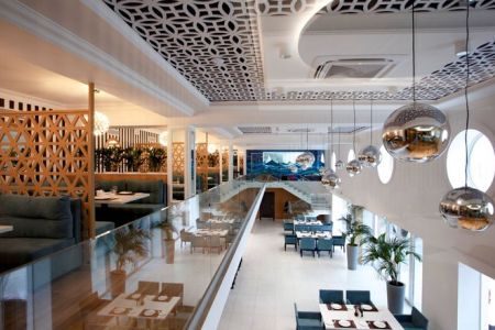 Внешний вид