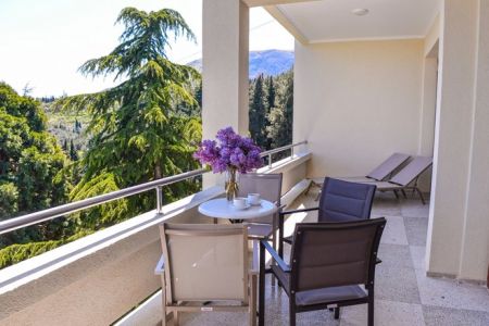 Однокомнатный двухместный "СТАНДАРТ КОМФОРТ" с балконом и видом на море