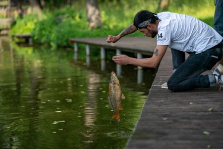 Территория отеля
