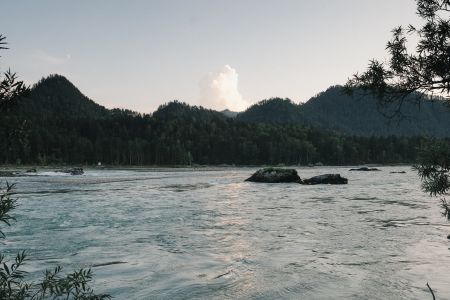 Дом 2-местный (вид на лес)