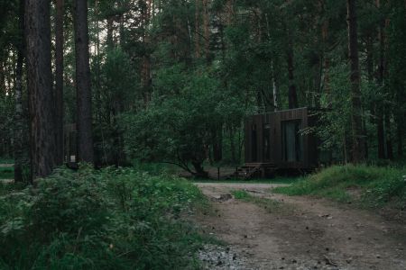 Дом 2-местный (вид на лес)