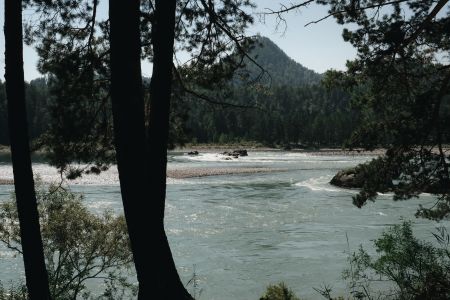 Дом 2-местный (вид на лес)