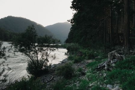 Дом 2-местный (вид на лес)