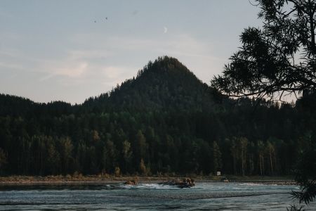 Дом 2-местный (вид на лес)