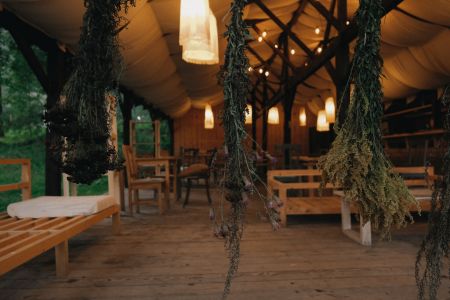 Дом 2-местный (вид на лес)