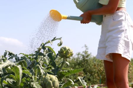 «Api Balaklava» / «Апи Балаклава» отель