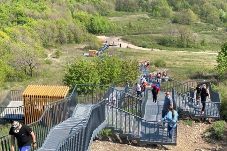 Внешний вид