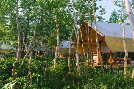 Территория