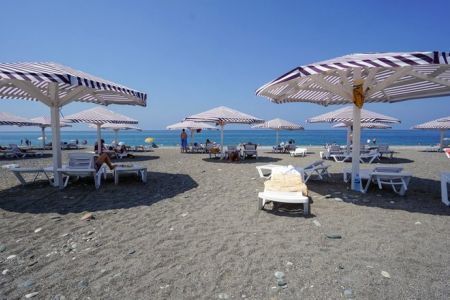 Шведский стол