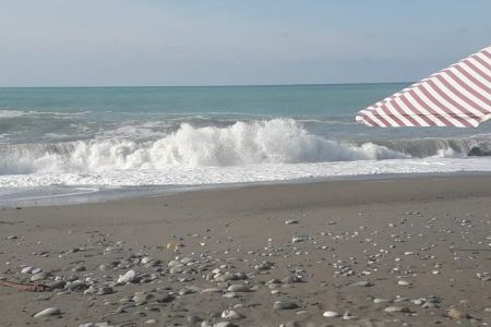 Шведский стол