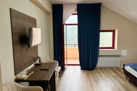 Люкс 4-местный 2-комнатный