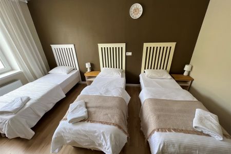 Стандартный 2-местный (Терк)