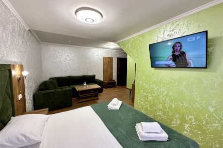 Комфорт 2-местный 1-комнатный