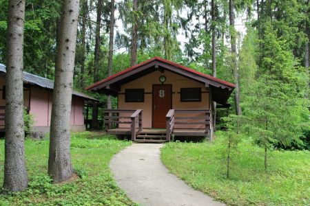 Внешний вид