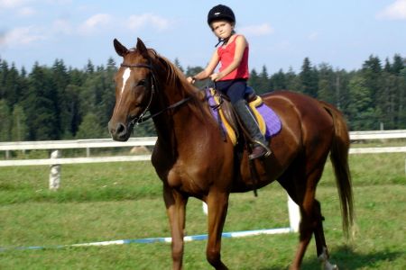 Внешний вид