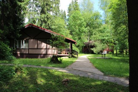 Внешний вид