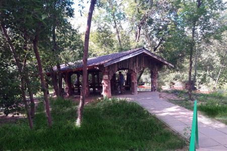 Внешний вид