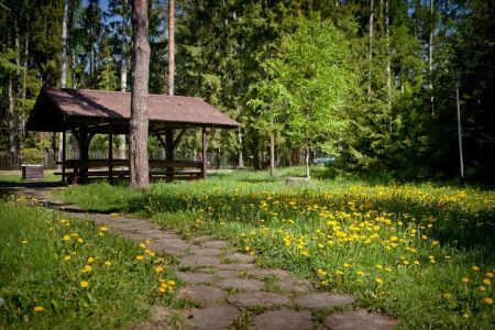 Внешний вид