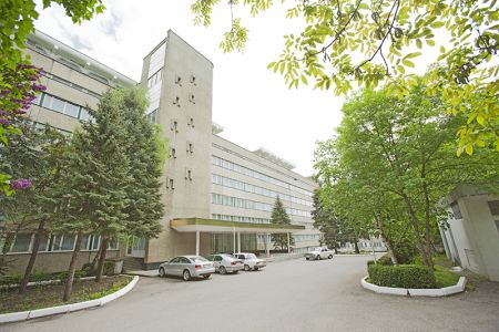 Внешний вид