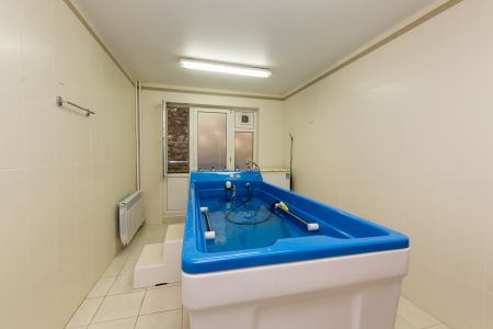 Территория