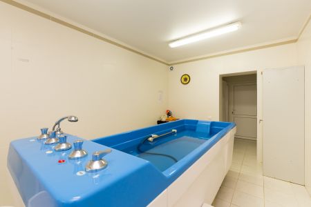 Территория