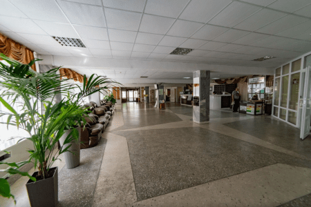 Внешний вид