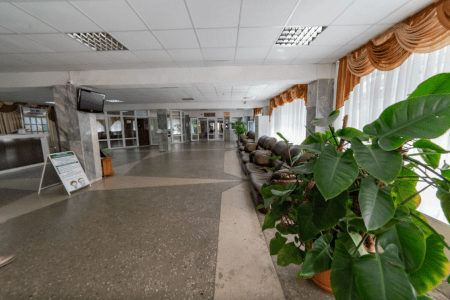 Внешний вид